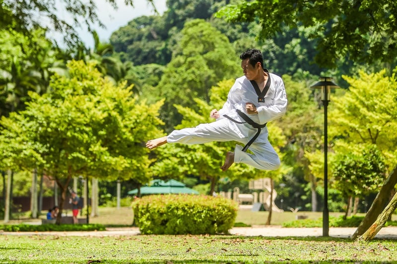 Chen Style Martial Arts